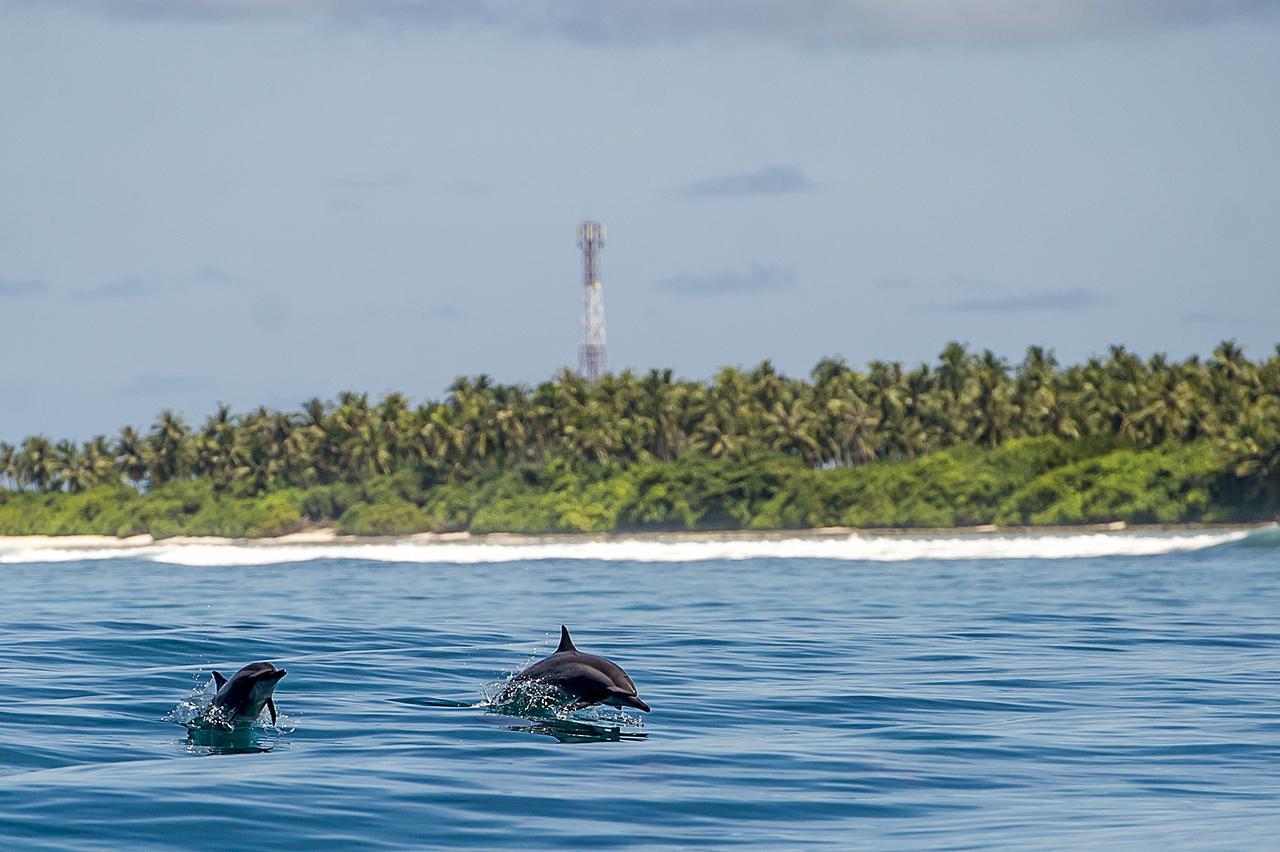 Detour Beach View Hangnaameedhoo Dış mekan fotoğraf